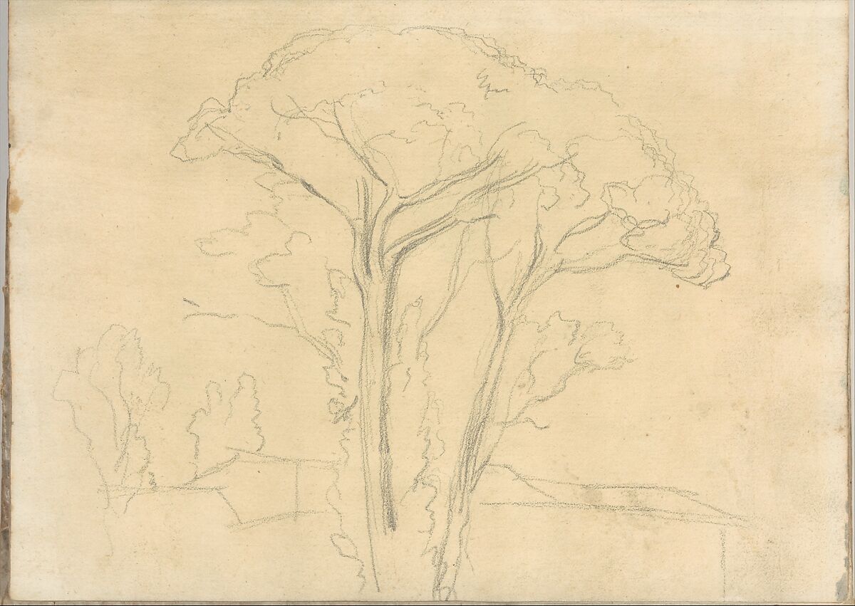Umbrella pines and buildings, at Rome (Smaller Italian sketchbook, leaf 26 recto), Joseph Wright (Wright of Derby) (British, Derby 1734–1797 Derby), Graphite and brush yellow wash or watercolor 