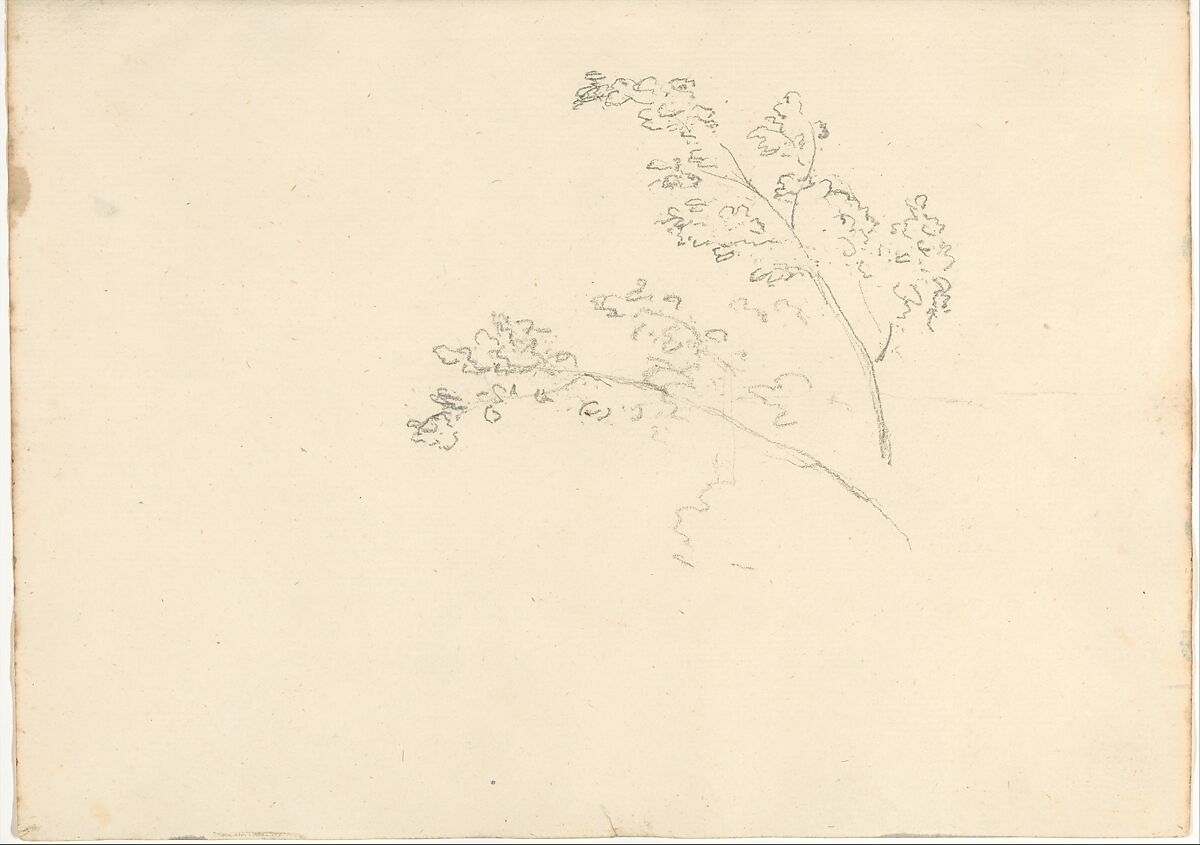 Tree Branches (Smaller Italian Sketchbook, leaf 30 recto), Joseph Wright (Wright of Derby) (British, Derby 1734–1797 Derby), Graphite 