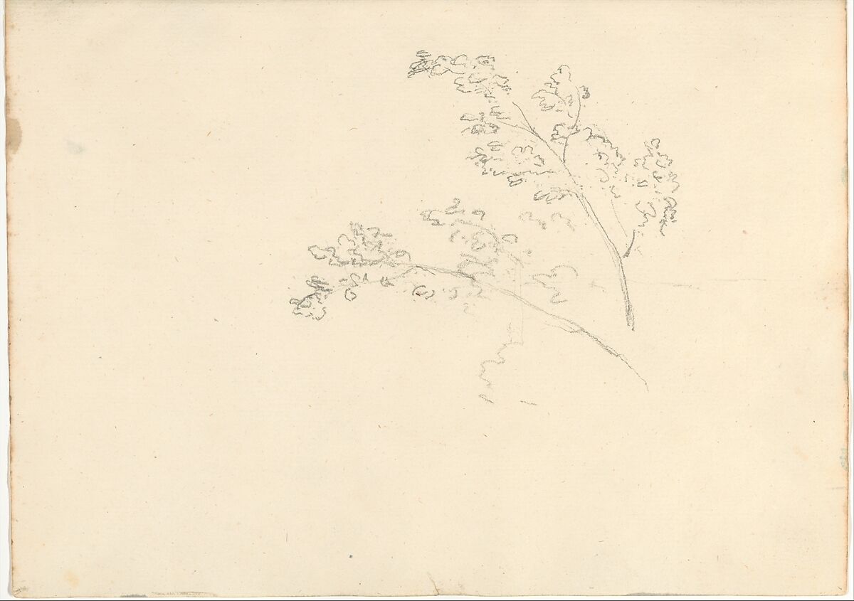 Tree branches (Smaller Italian sketchbook, leaf 30 recto), Joseph Wright (Wright of Derby) (British, Derby 1734–1797 Derby), Graphite 