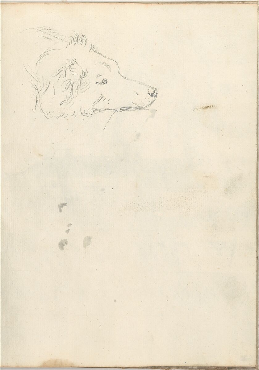 Head of a dog (Smaller Italian sketchbook, leaf 35 recto), Joseph Wright (Wright of Derby) (British, Derby 1734–1797 Derby), Graphite and touches of gray brush and ink wash 