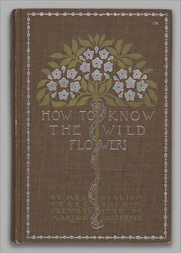 How to Know the Wild Flowers: A Guide to the Names, Haunts and Habits of Our Common Wild Flowers