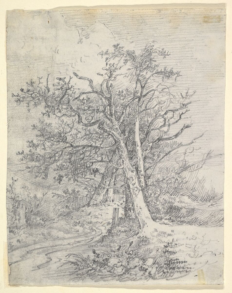 Study for Tree Trunks and Lane, John Crome (British, Norwich 1768–1821 Norwich), Graphite, soft ground etching on the verso 