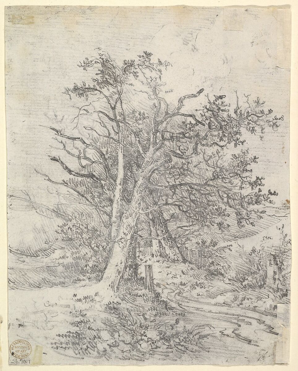 Study for Tree Trunks and Lane, John Crome (British, Norwich 1768–1821 Norwich), Graphite (recto); soft ground etching (verso)