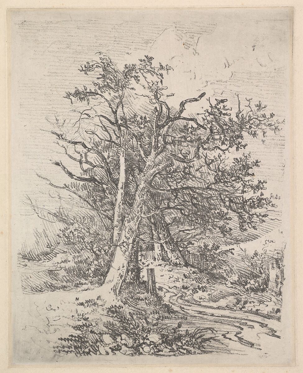 Tree Trunks and Lane, John Crome (British, Norwich 1768–1821 Norwich), Soft-ground etching on chine collé 