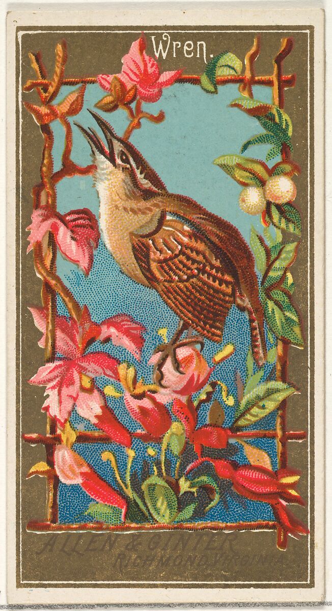 Wren, from the Birds of America series (N4) for Allen & Ginter Cigarettes Brands, Issued by Allen &amp; Ginter (American, Richmond, Virginia), Commercial color lithograph 