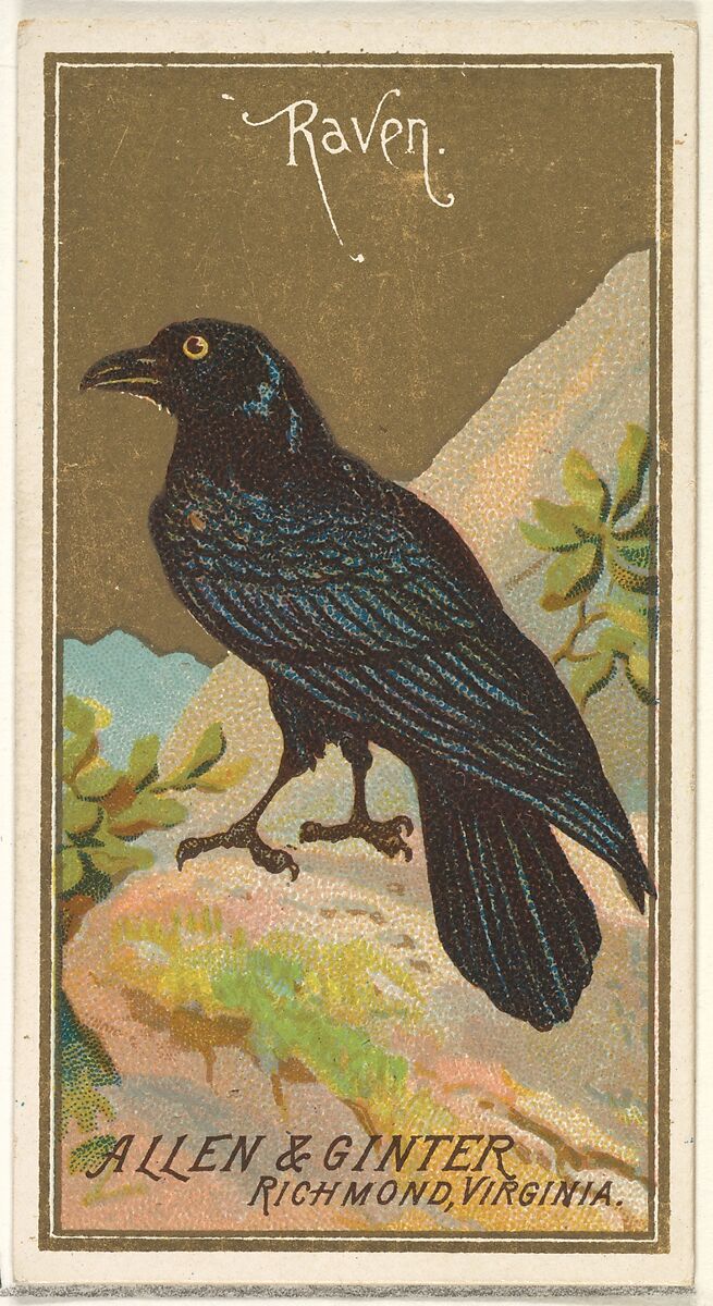 Raven, from the Birds of America series (N4) for Allen & Ginter Cigarettes Brands, Issued by Allen &amp; Ginter (American, Richmond, Virginia), Commercial color lithograph 