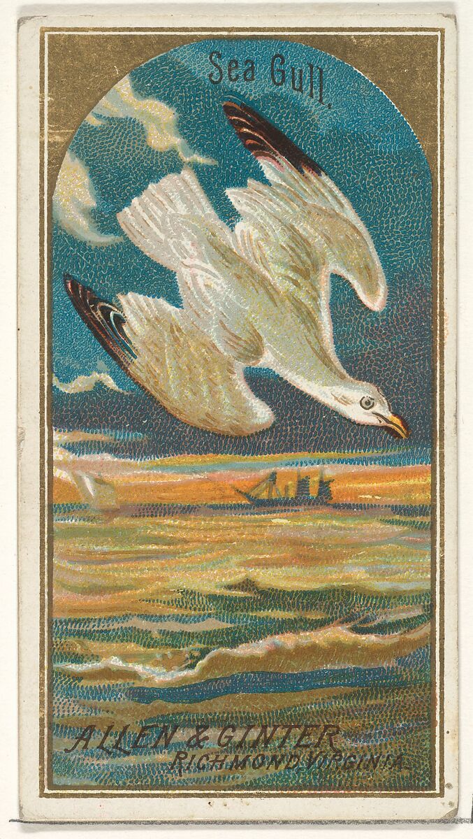 Seagull, from the Birds of America series (N4) for Allen & Ginter Cigarettes Brands, Issued by Allen &amp; Ginter (American, Richmond, Virginia), Commercial color lithograph 