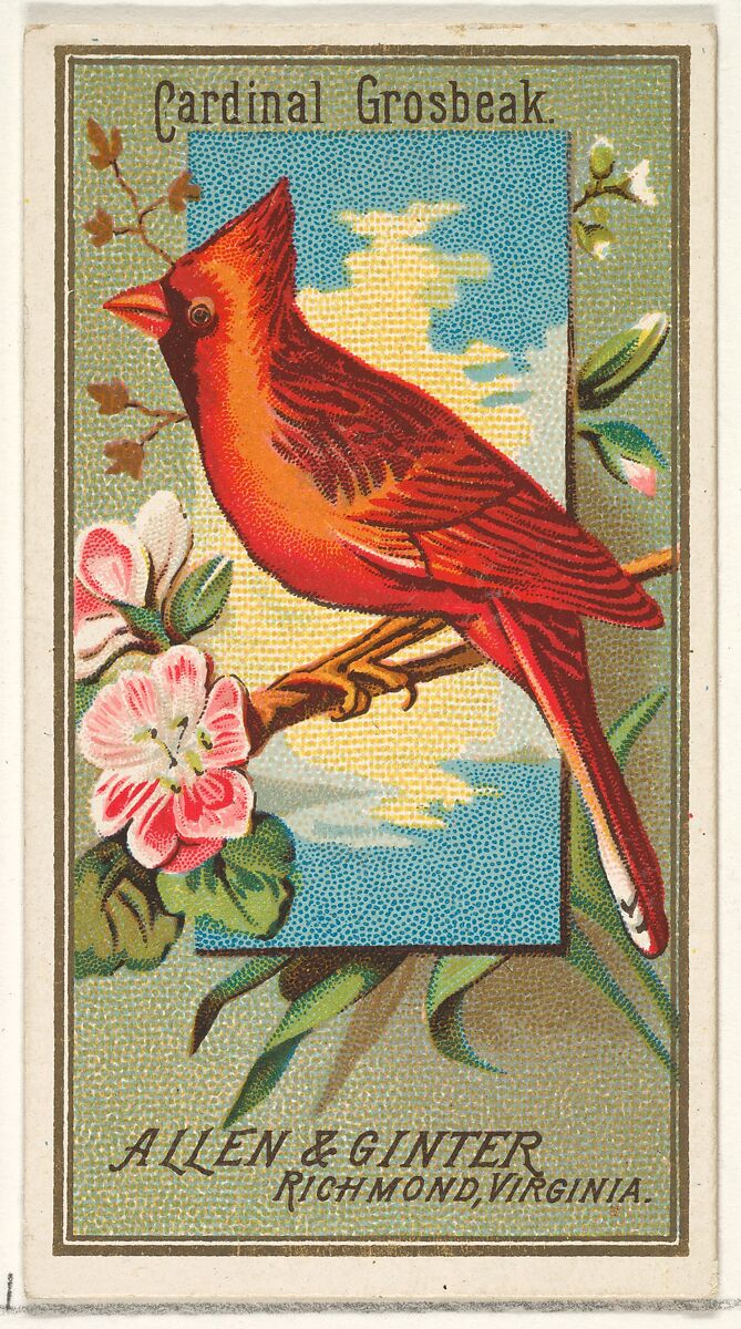 Cardinal Grosbeak, from the Birds of America series (N4) for Allen & Ginter Cigarettes Brands, Issued by Allen &amp; Ginter (American, Richmond, Virginia), Commercial color lithograph 