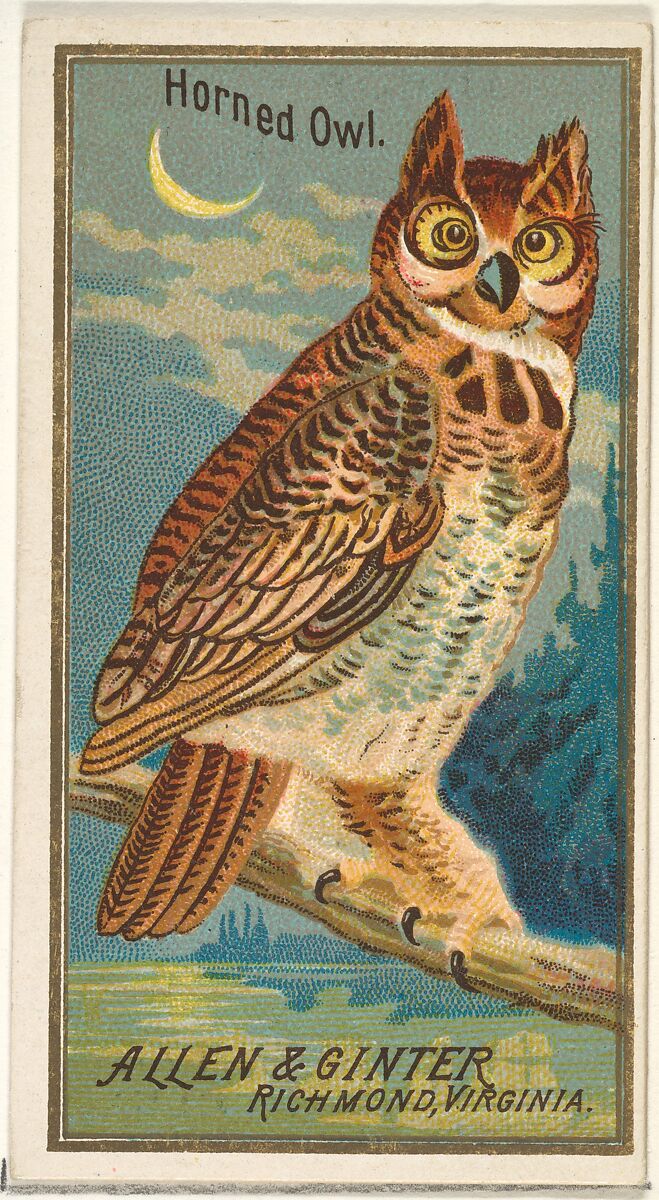 Issued by Allen & Ginter | Horned Owl, from the Birds of America series ...