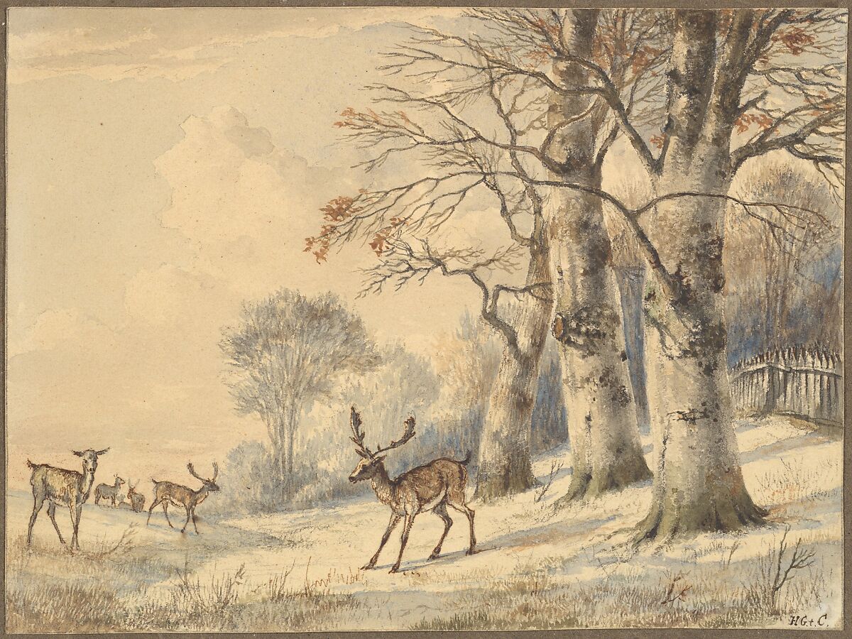 Deer under Beech Trees in Summer, Hendrik Gerrit ten Cate (Dutch, Amsterdam 1803–1856 Amsterdam), Watercolor, black chalk; framing lines in graphite 