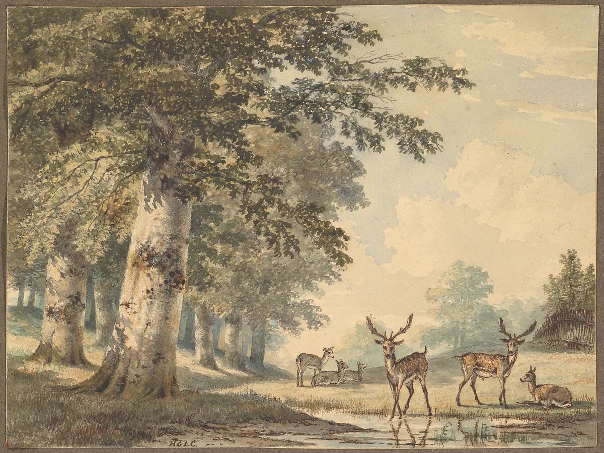 Deer under Beech Trees in Winter, Hendrik Gerrit ten Cate (Dutch, Amsterdam 1803–1856 Amsterdam), Watercolor, black chalk; framing line in graphite 