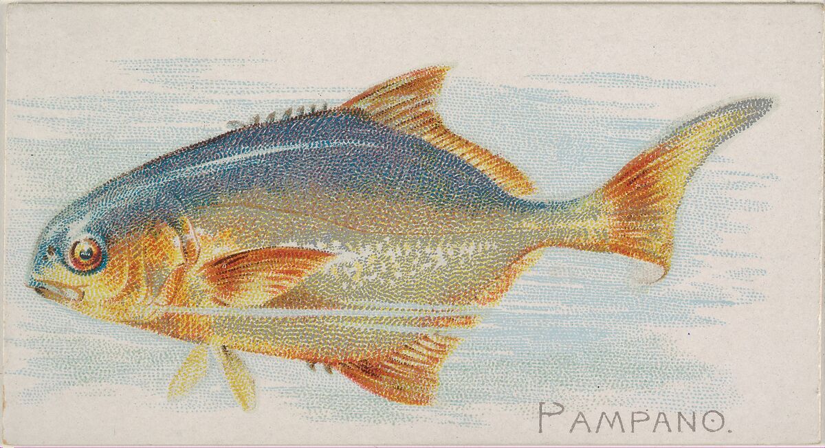 Pampano, from the Fish from American Waters series (N8) for Allen & Ginter Cigarettes Brands, Issued by Allen &amp; Ginter (American, Richmond, Virginia), Commercial color lithograph 