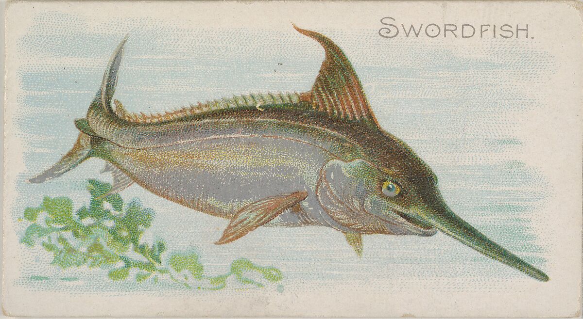 Swordfish, from the Fish from American Waters series (N8) for Allen & Ginter Cigarettes Brands, Issued by Allen &amp; Ginter (American, Richmond, Virginia), Commercial color lithograph 