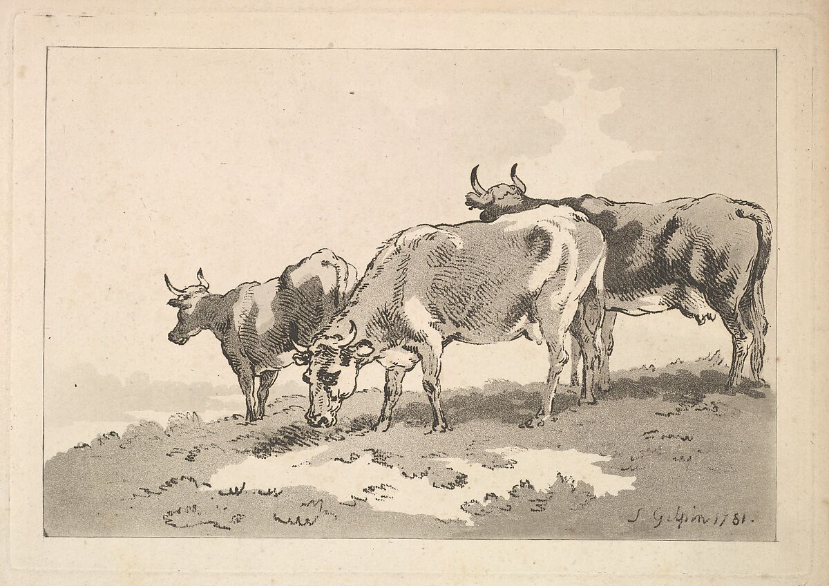Three Cows Standing on the Ridge of a Field, Thomas Rowlandson (British, London 1757–1827 London), Soft-ground etching and aquatint 