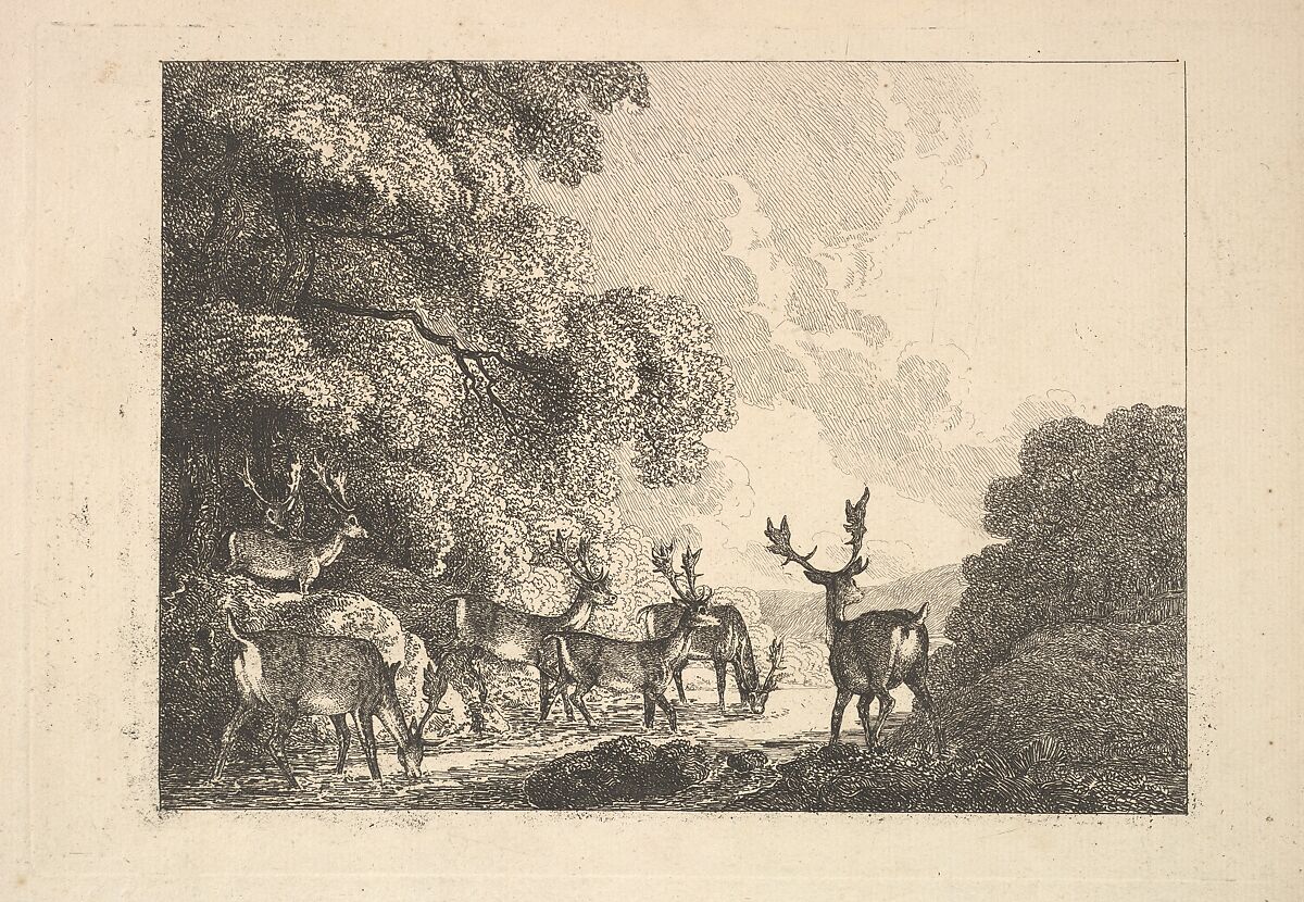 A Group of Stags Drinking, Thomas Rowlandson (British, London 1757–1827 London), Etching 