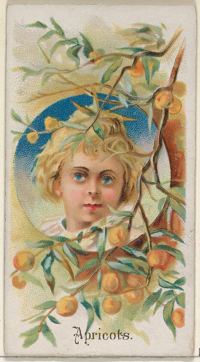 Apricots, from the Fruits series (N12) for Allen & Ginter Cigarettes Brands, Issued by Allen &amp; Ginter (American, Richmond, Virginia), Commercial color lithograph 