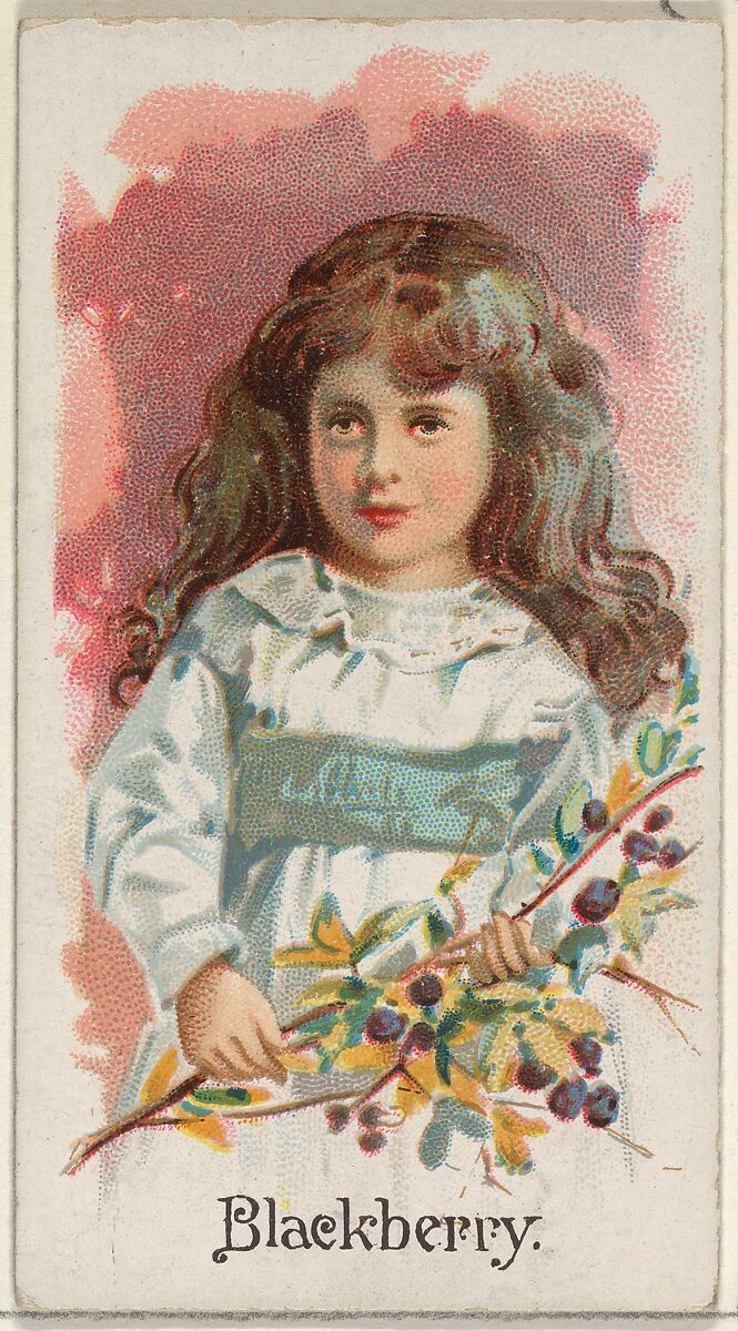 Blackberry, from the Fruits series (N12) for Allen & Ginter Cigarettes Brands, Issued by Allen &amp; Ginter (American, Richmond, Virginia), Commercial color lithograph 