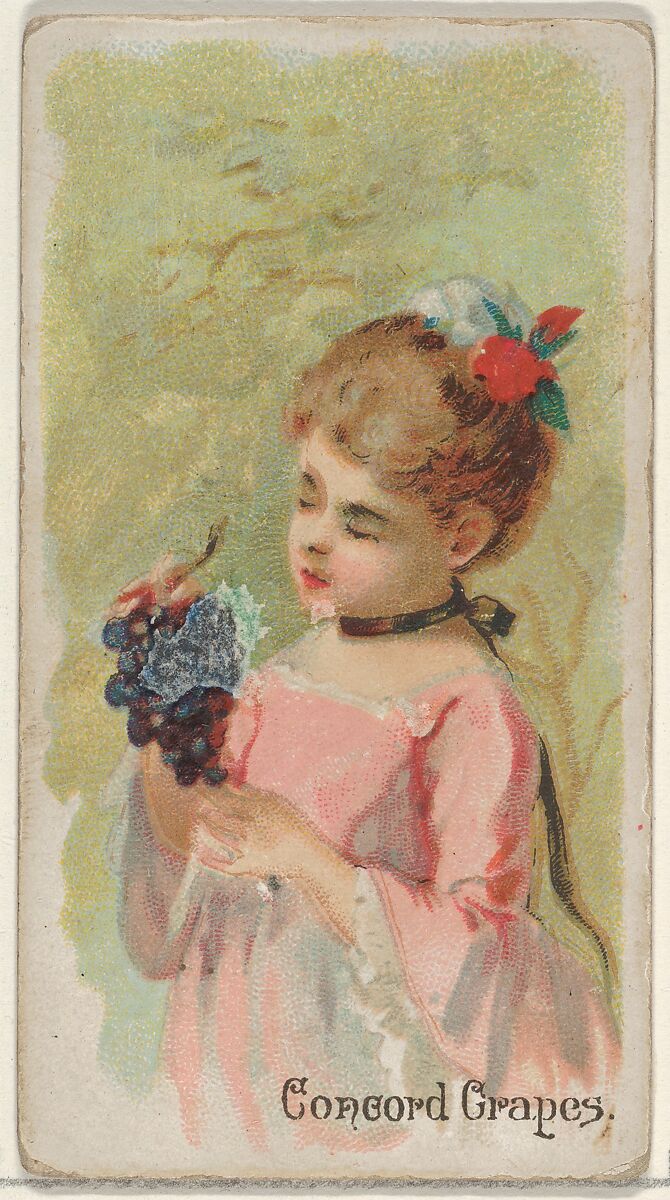 Concord Grapes, from the Fruits series (N12) for Allen & Ginter Cigarettes Brands, Issued by Allen &amp; Ginter (American, Richmond, Virginia), Commercial color lithograph 