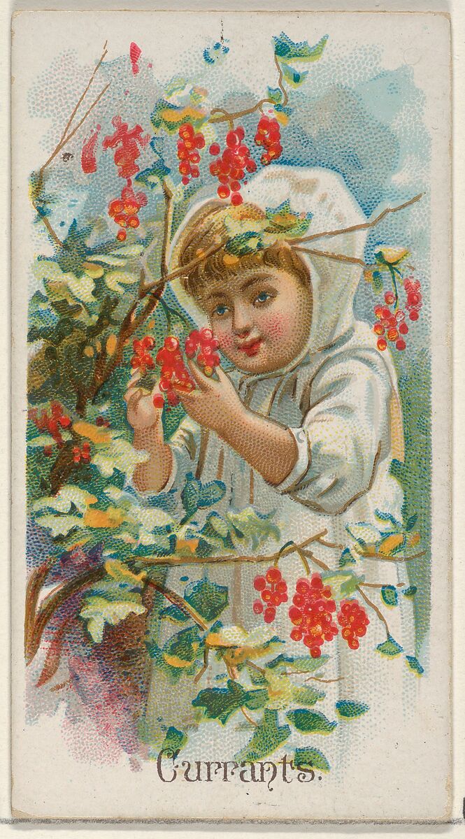 Currants, from the Fruits series (N12) for Allen & Ginter Cigarettes Brands, Issued by Allen &amp; Ginter (American, Richmond, Virginia), Commercial color lithograph 