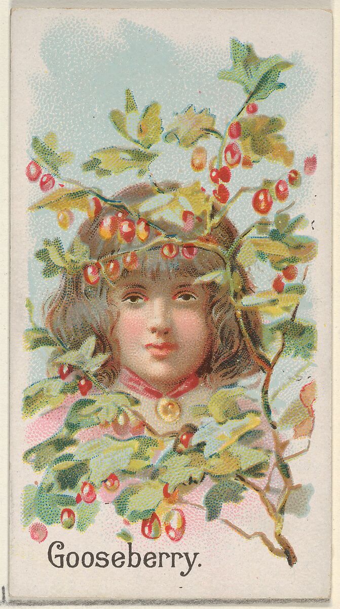 Gooseberry, from the Fruits series (N12) for Allen & Ginter Cigarettes Brands, Issued by Allen &amp; Ginter (American, Richmond, Virginia), Commercial color lithograph 