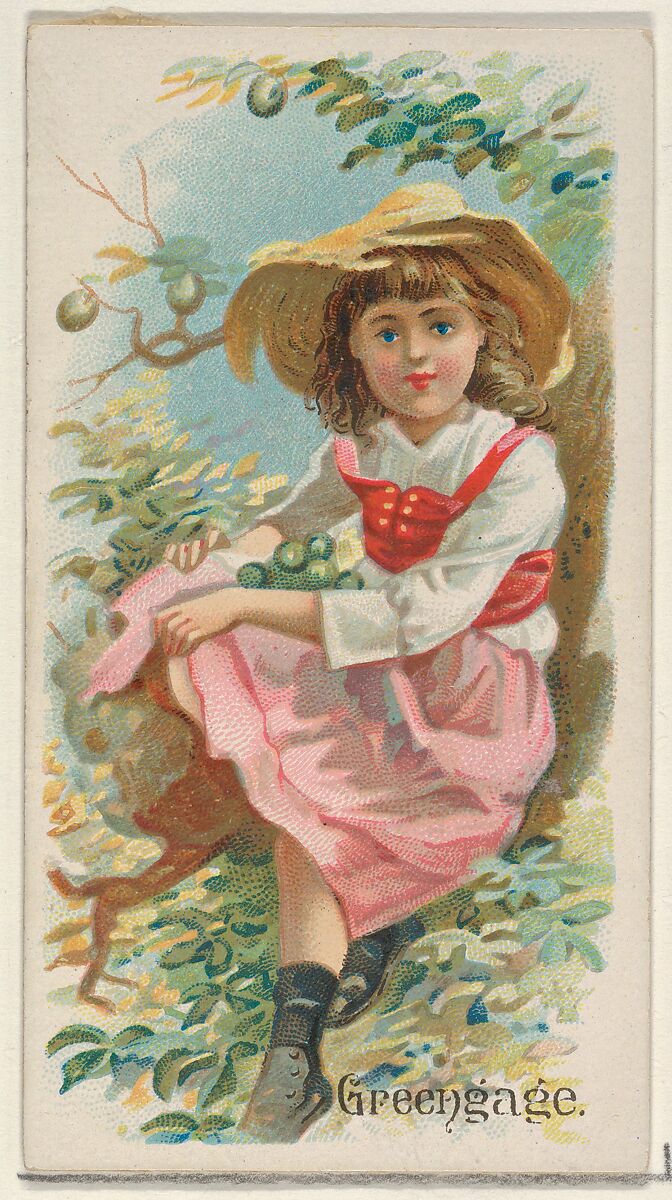 Greengage, from the Fruits series (N12) for Allen & Ginter Cigarettes Brands, Issued by Allen &amp; Ginter (American, Richmond, Virginia), Commercial color lithograph 