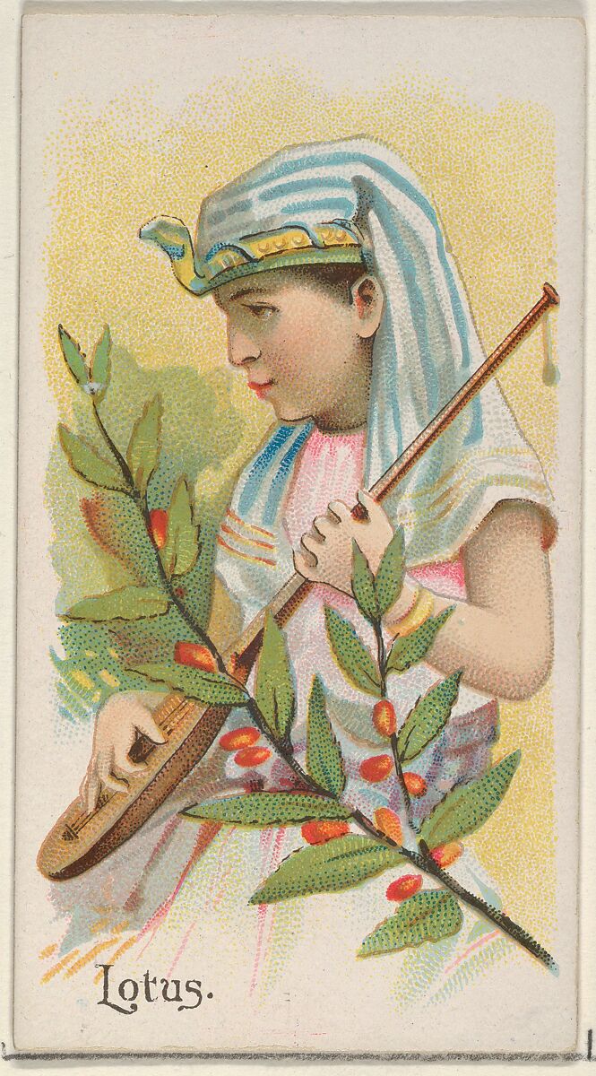 Lotus, from the Fruits series (N12) for Allen & Ginter Cigarettes Brands, Issued by Allen &amp; Ginter (American, Richmond, Virginia), Commercial color lithograph 