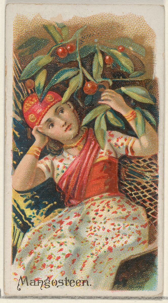 Mangosteen, from the Fruits series (N12) for Allen & Ginter Cigarettes Brands, Issued by Allen &amp; Ginter (American, Richmond, Virginia), Commercial color lithograph 