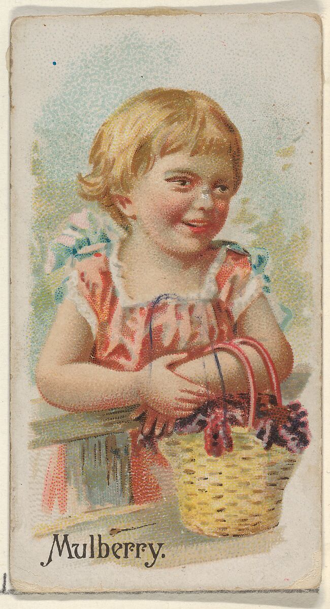 Mulberry, from the Fruits series (N12) for Allen & Ginter Cigarettes Brands, Issued by Allen &amp; Ginter (American, Richmond, Virginia), Commercial color lithograph 