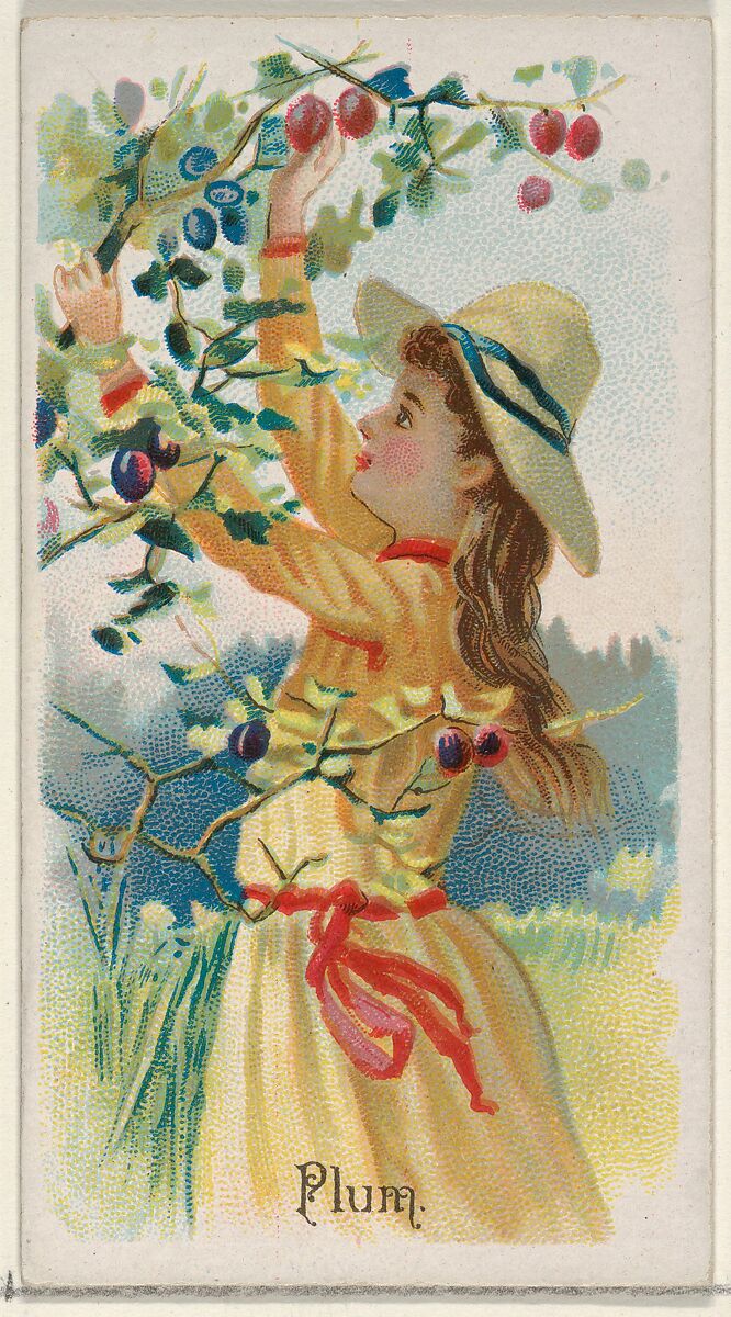 Plum, from the Fruits series (N12) for Allen & Ginter Cigarettes Brands, Issued by Allen &amp; Ginter (American, Richmond, Virginia), Commercial color lithograph 