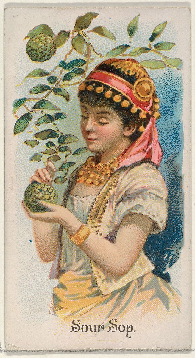 Sour Sop, from the Fruits series (N12) for Allen & Ginter Cigarettes Brands, Issued by Allen &amp; Ginter (American, Richmond, Virginia), Commercial color lithograph 