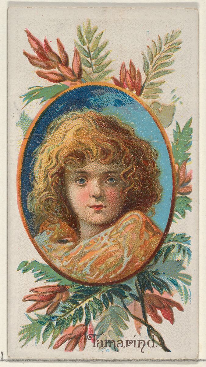 Tamarind, from the Fruits series (N12) for Allen & Ginter Cigarettes Brands, Issued by Allen &amp; Ginter (American, Richmond, Virginia), Commercial color lithograph 