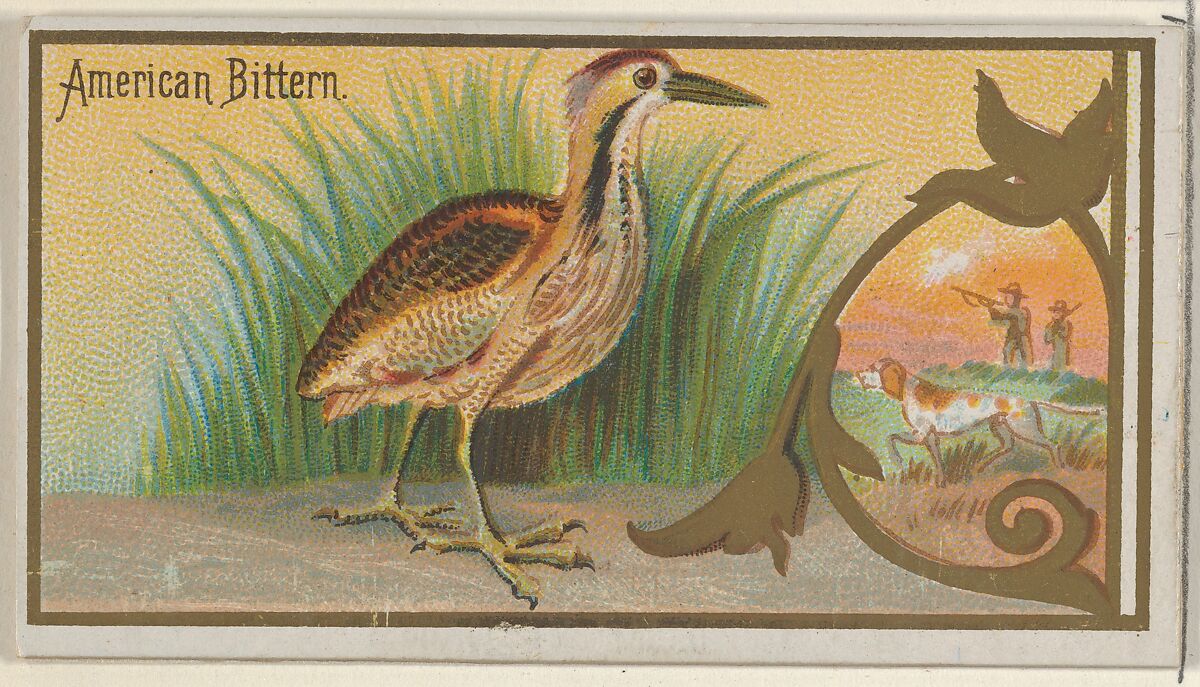 American Bittern, from the Game Birds series (N13) for Allen & Ginter Cigarettes Brands, Issued by Allen &amp; Ginter (American, Richmond, Virginia), Commercial color lithograph 
