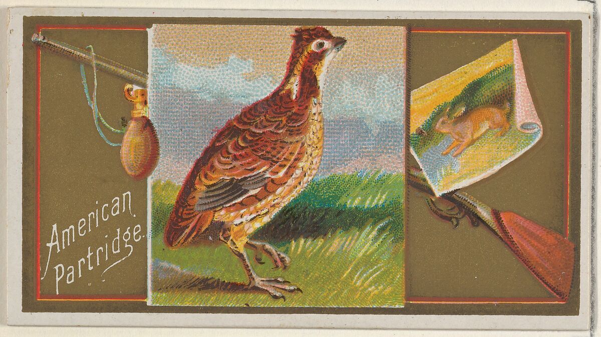 American Partridge, from the Game Birds series (N13) for Allen & Ginter Cigarettes Brands, Issued by Allen &amp; Ginter (American, Richmond, Virginia), Commercial color lithograph 