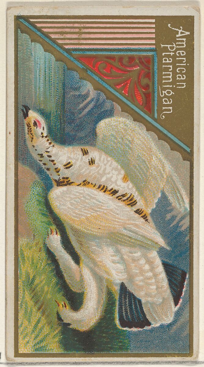 American Ptarmigan, from the Game Birds series (N13) for Allen & Ginter Cigarettes Brands, Issued by Allen &amp; Ginter (American, Richmond, Virginia), Commercial color lithograph 