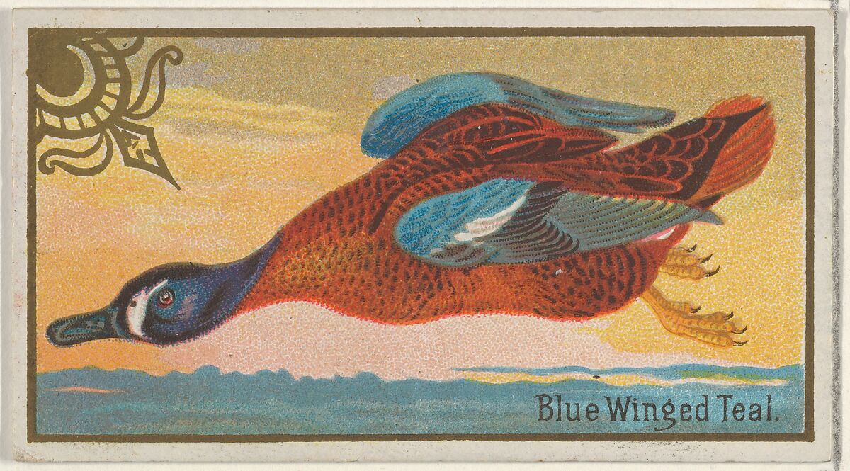 Blue Winged Teal, from the Game Birds series (N13) for Allen & Ginter Cigarettes Brands, Issued by Allen &amp; Ginter (American, Richmond, Virginia), Commercial color lithograph 