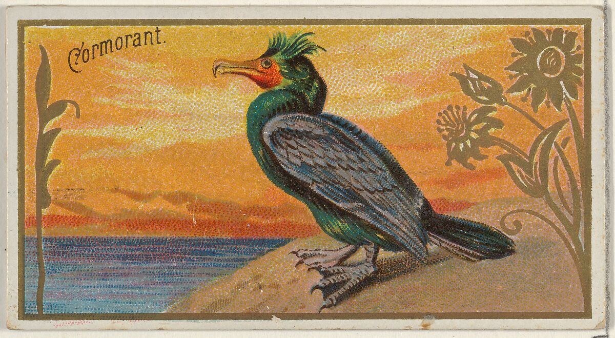 Cormorant, from the Game Birds series (N13) for Allen & Ginter Cigarettes Brands, Issued by Allen &amp; Ginter (American, Richmond, Virginia), Commercial color lithograph 