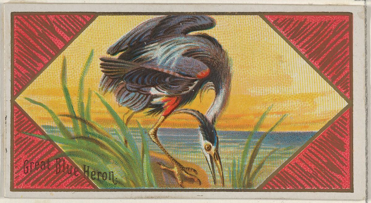 Great Blue Heron, from the Game Birds series (N13) for Allen & Ginter Cigarettes Brands, Issued by Allen &amp; Ginter (American, Richmond, Virginia), Commercial color lithograph 
