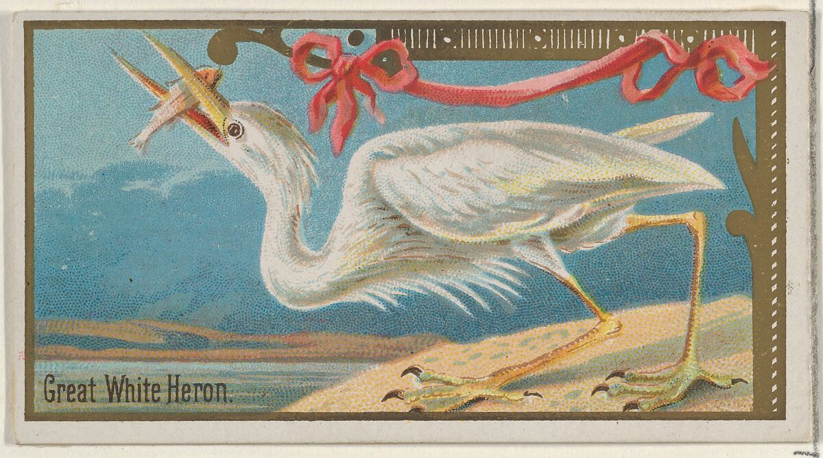 Great White Heron, from the Game Birds series (N13) for Allen & Ginter Cigarettes Brands, Issued by Allen &amp; Ginter (American, Richmond, Virginia), Commercial color lithograph 