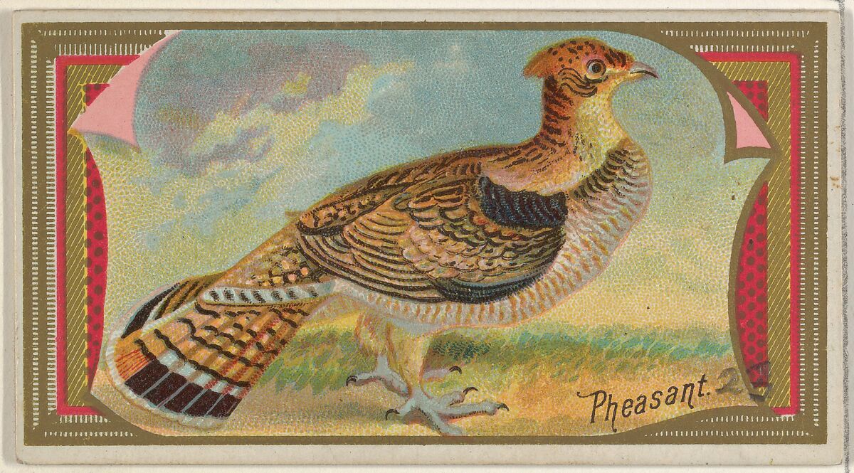 Pheasant, from the Game Birds series (N13) for Allen & Ginter Cigarettes Brands, Issued by Allen &amp; Ginter (American, Richmond, Virginia), Commercial color lithograph 