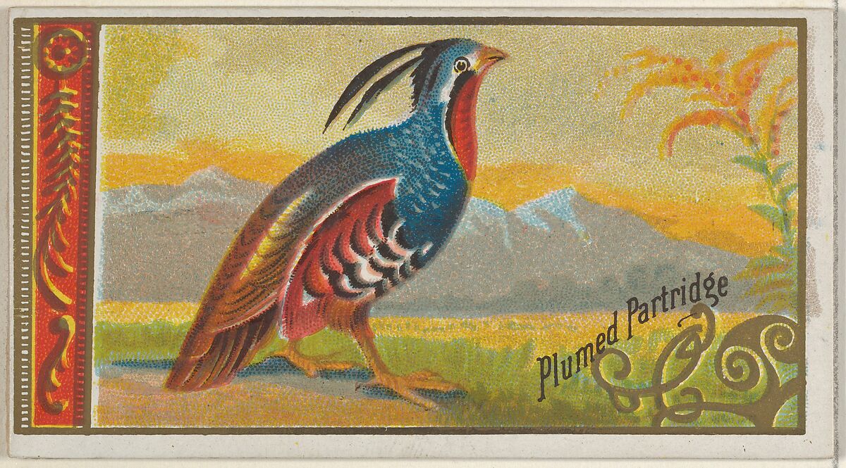 Plumed Partridge, from the Game Birds series (N13) for Allen & Ginter Cigarettes Brands, Issued by Allen &amp; Ginter (American, Richmond, Virginia), Commercial color lithograph 