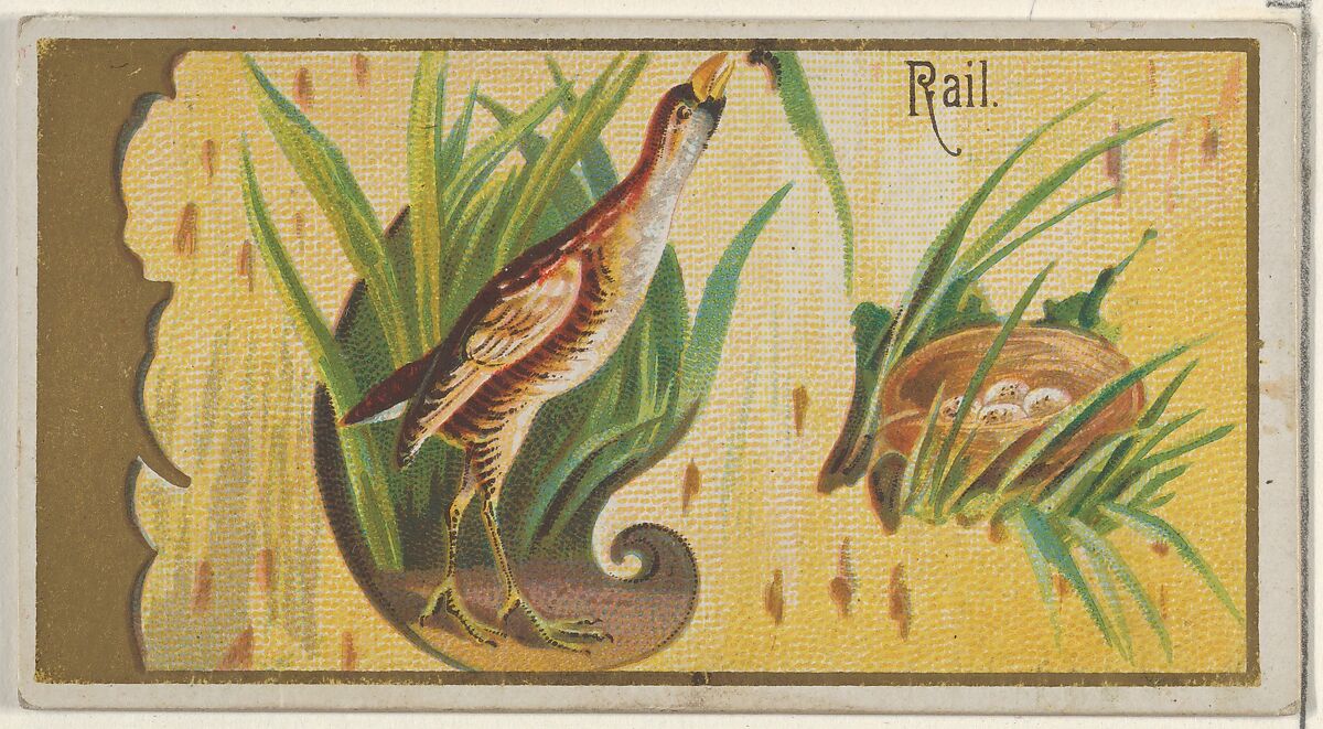 Rail, from the Game Birds series (N13) for Allen & Ginter Cigarettes Brands, Issued by Allen &amp; Ginter (American, Richmond, Virginia), Commercial color lithograph 