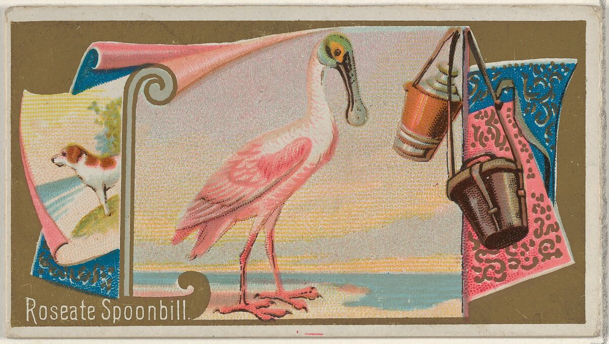 Roseate Spoonbill, from the Game Birds series (N13) for Allen & Ginter Cigarettes Brands, Issued by Allen &amp; Ginter (American, Richmond, Virginia), Commercial color lithograph 