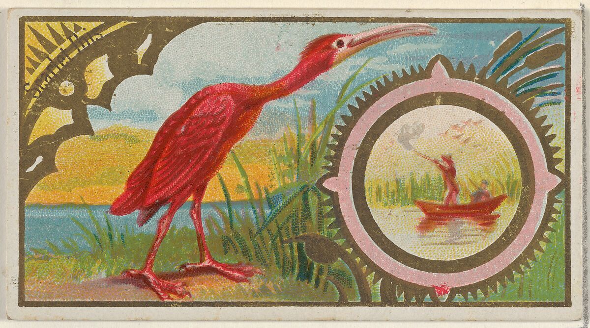 Scarlet Ibis, from the Game Birds series (N13) for Allen & Ginter Cigarettes Brands, Issued by Allen &amp; Ginter (American, Richmond, Virginia), Commercial color lithograph 