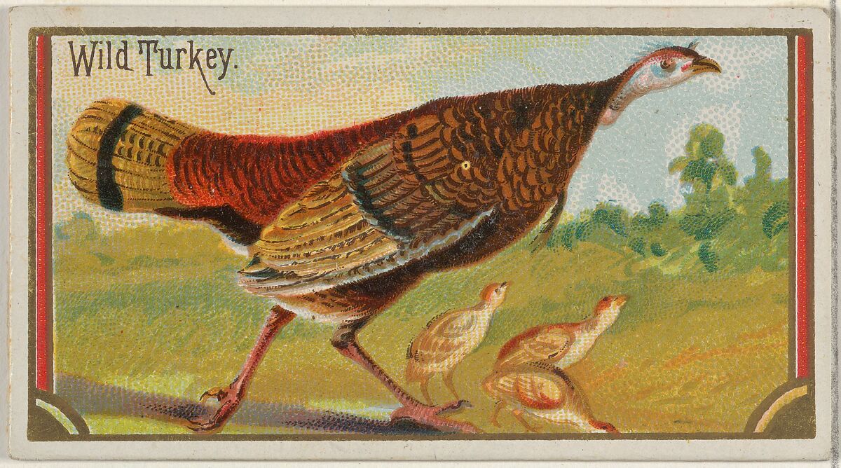 Wild Turkey, from the Game Birds series (N13) for Allen & Ginter Cigarettes Brands, Issued by Allen &amp; Ginter (American, Richmond, Virginia), Commercial color lithograph 