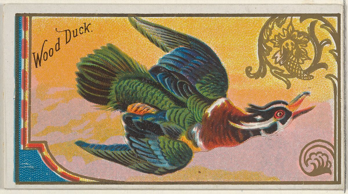 Wood Duck, from the Game Birds series (N13) for Allen & Ginter Cigarettes Brands, Issued by Allen &amp; Ginter (American, Richmond, Virginia), Commercial color lithograph 