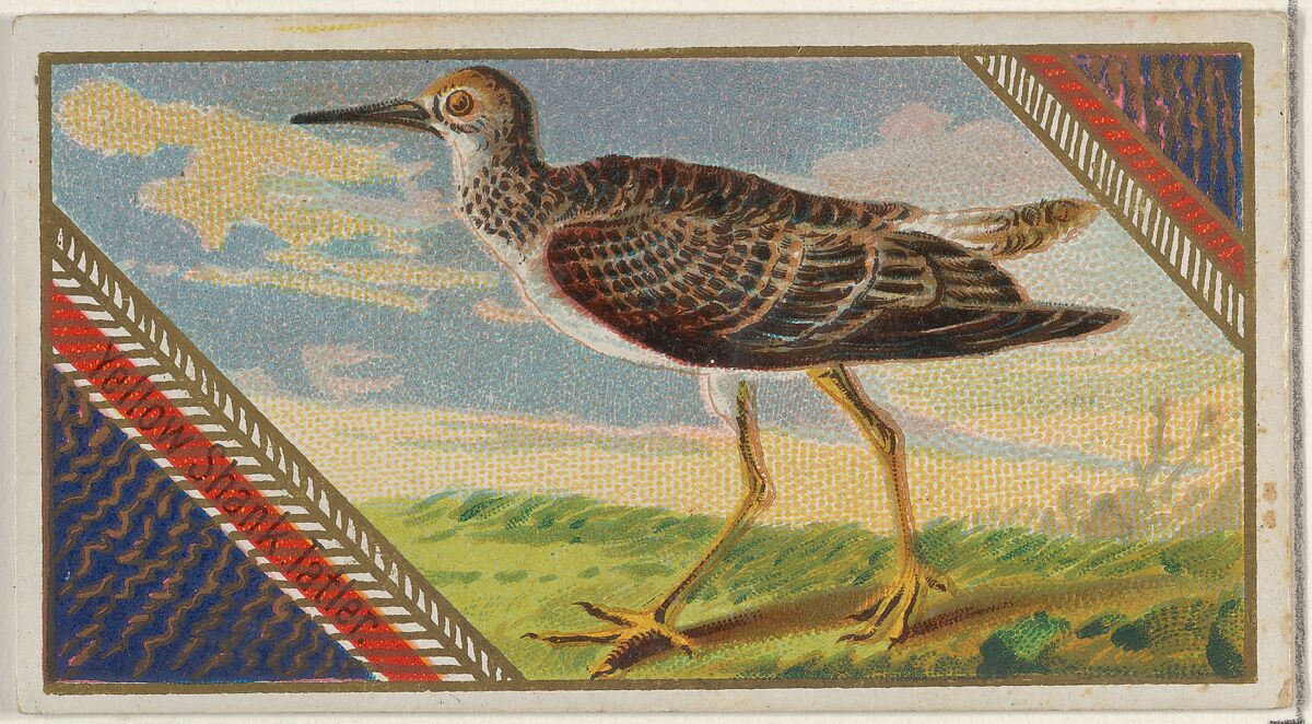 Yellow Shank Tatien, from the Game Birds series (N13) for Allen & Ginter Cigarettes Brands, Issued by Allen &amp; Ginter (American, Richmond, Virginia), Commercial color lithograph 