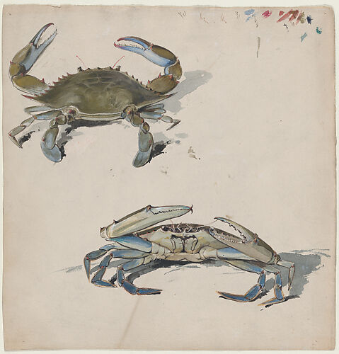 Two Crabs