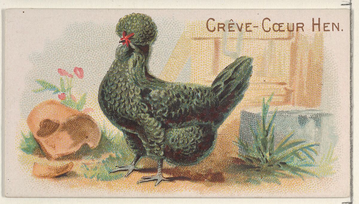 Crève-Cœur Hen, from the Prize and Game Chickens series (N20) for Allen & Ginter Cigarettes, Allen &amp; Ginter (American, Richmond, Virginia), Commercial color lithograph 