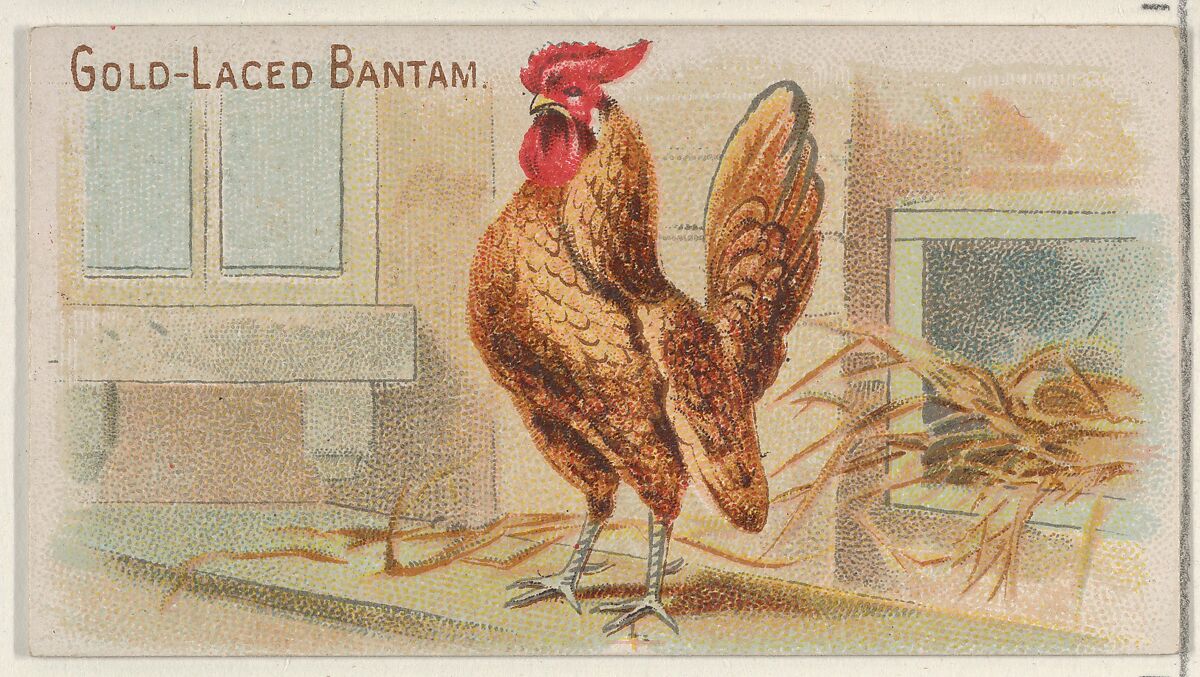 Gold-Laced Bantam, from the Prize and Game Chickens series (N20) for Allen & Ginter Cigarettes, Allen &amp; Ginter (American, Richmond, Virginia), Commercial color lithograph 