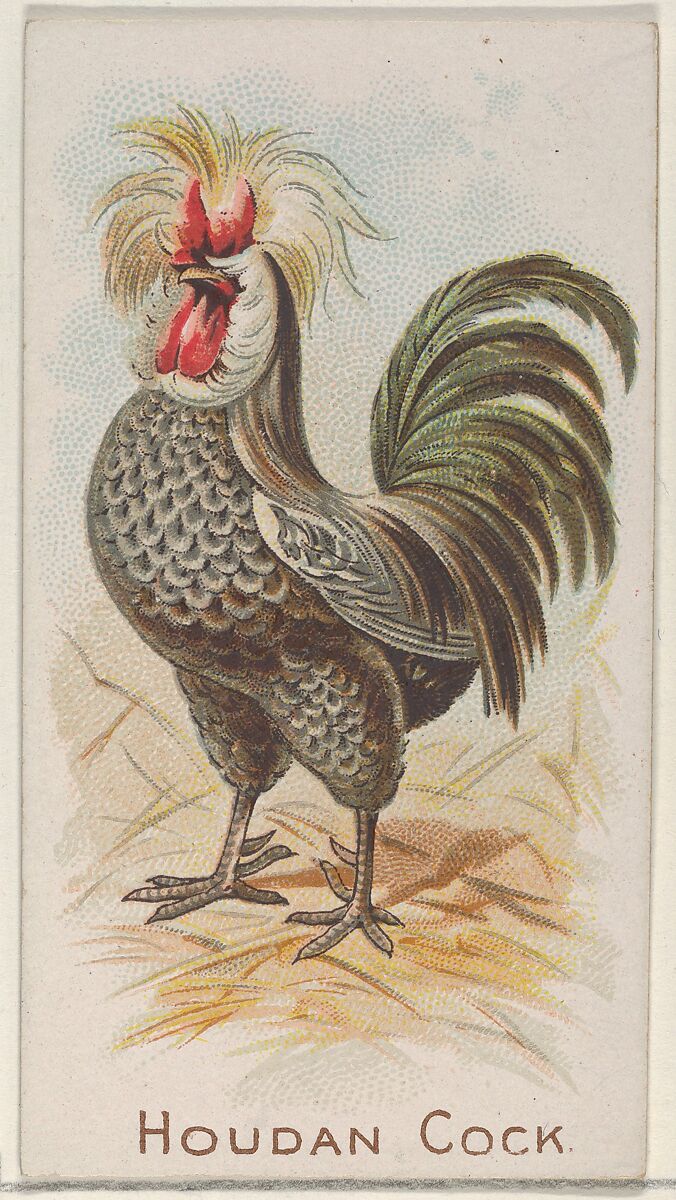 Houdan Cock, from the Prize and Game Chickens series (N20) for Allen & Ginter Cigarettes, Allen &amp; Ginter (American, Richmond, Virginia), Commercial color lithograph 